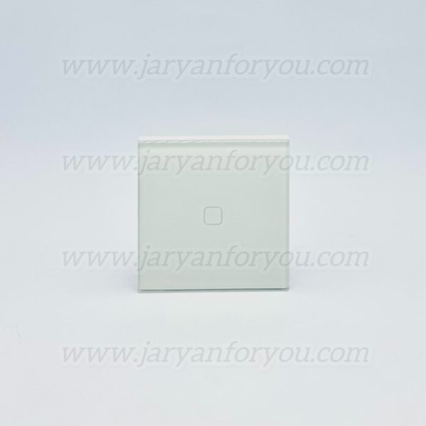 IMG_9658 - JRYN